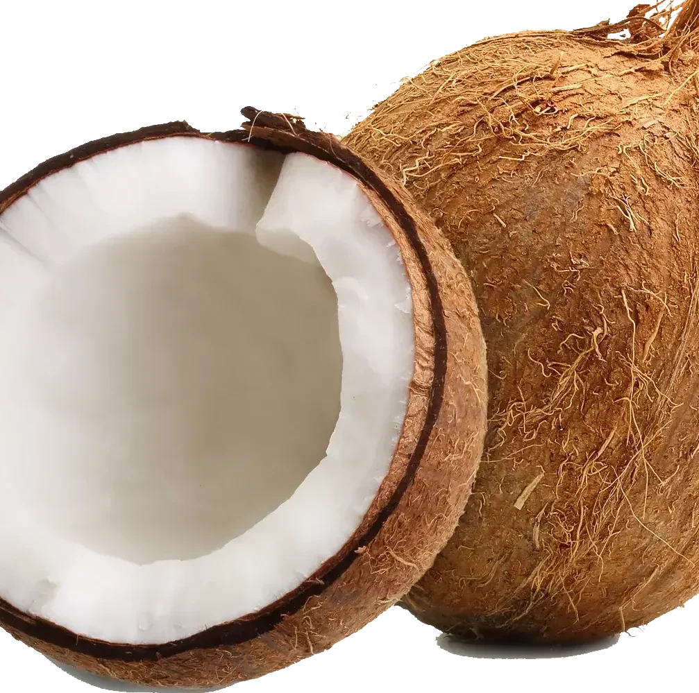 coconut